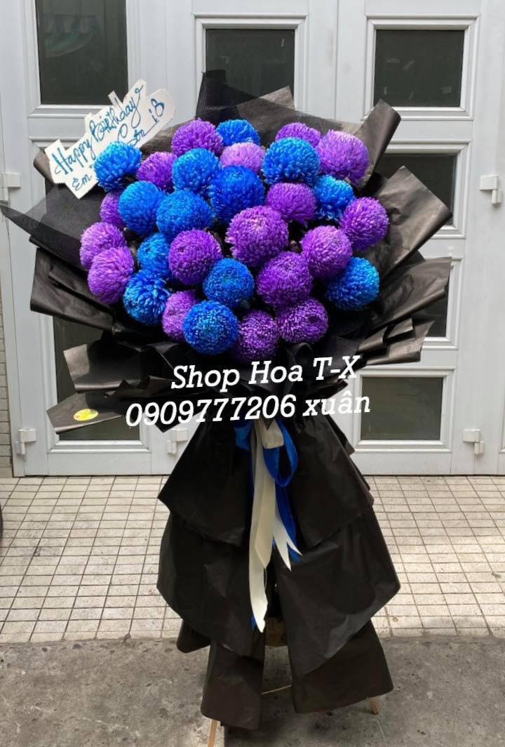 Shop Hoa TX
