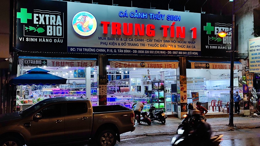 ca-canh-thuy-sinh-trung-tin