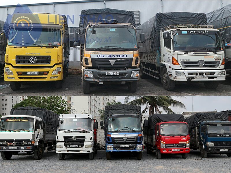 dịch vụ thuê xe tải của Liên Thảo Transport